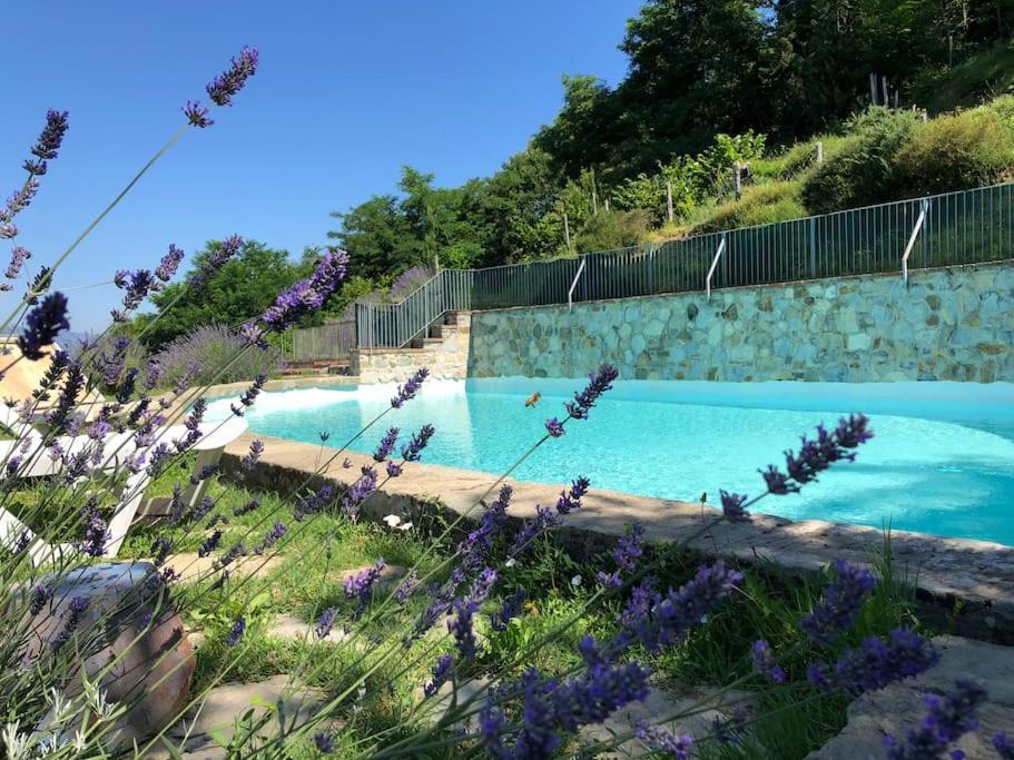 Podere Beatrice 20 Pax By Villasretreats Bardine di San Terenzo 외부 사진